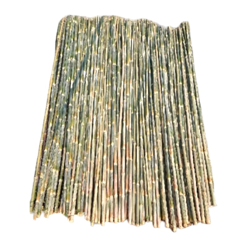 9 M / TM Bambu Proyek Steger Batang