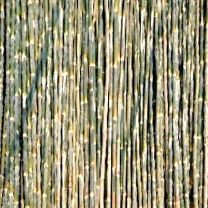 9 M / TM Bambu Proyek Steger Batang