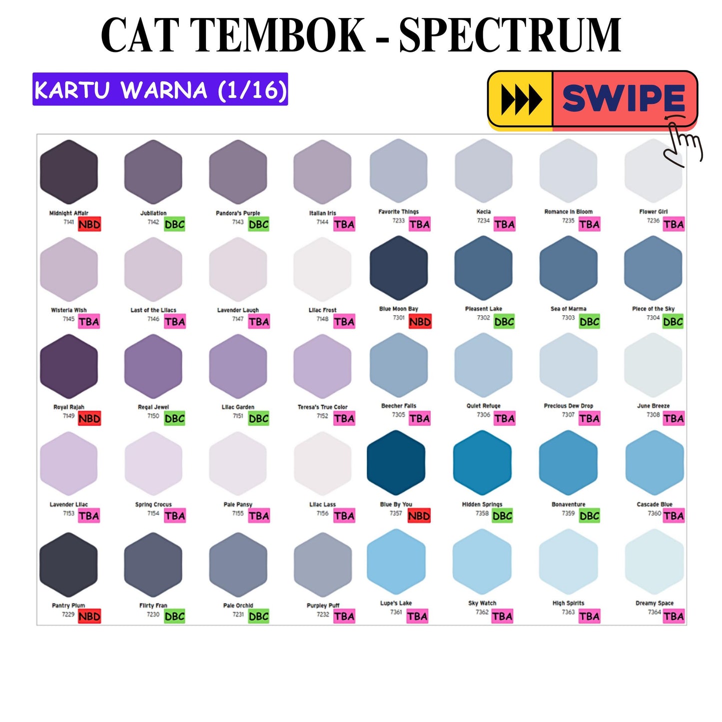 5 KG / SPECTRUM Cat Tembok Beton Plafon Wall Paint Galon