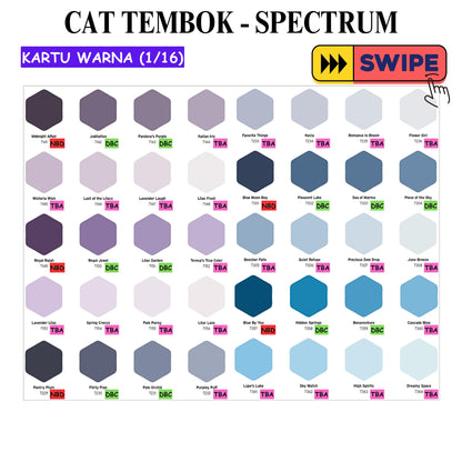 5 KG / SPECTRUM Cat Tembok Beton Plafon Wall Paint Galon