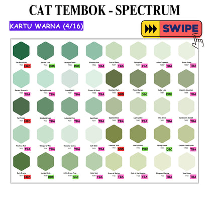 5 KG / SPECTRUM Cat Tembok Beton Plafon Wall Paint Galon