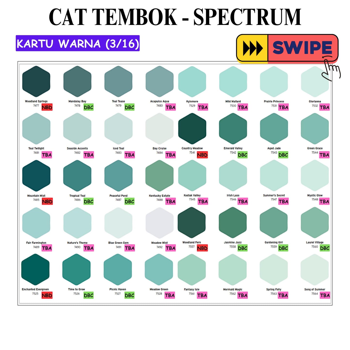 5 KG / SPECTRUM Cat Tembok Beton Plafon Wall Paint Galon