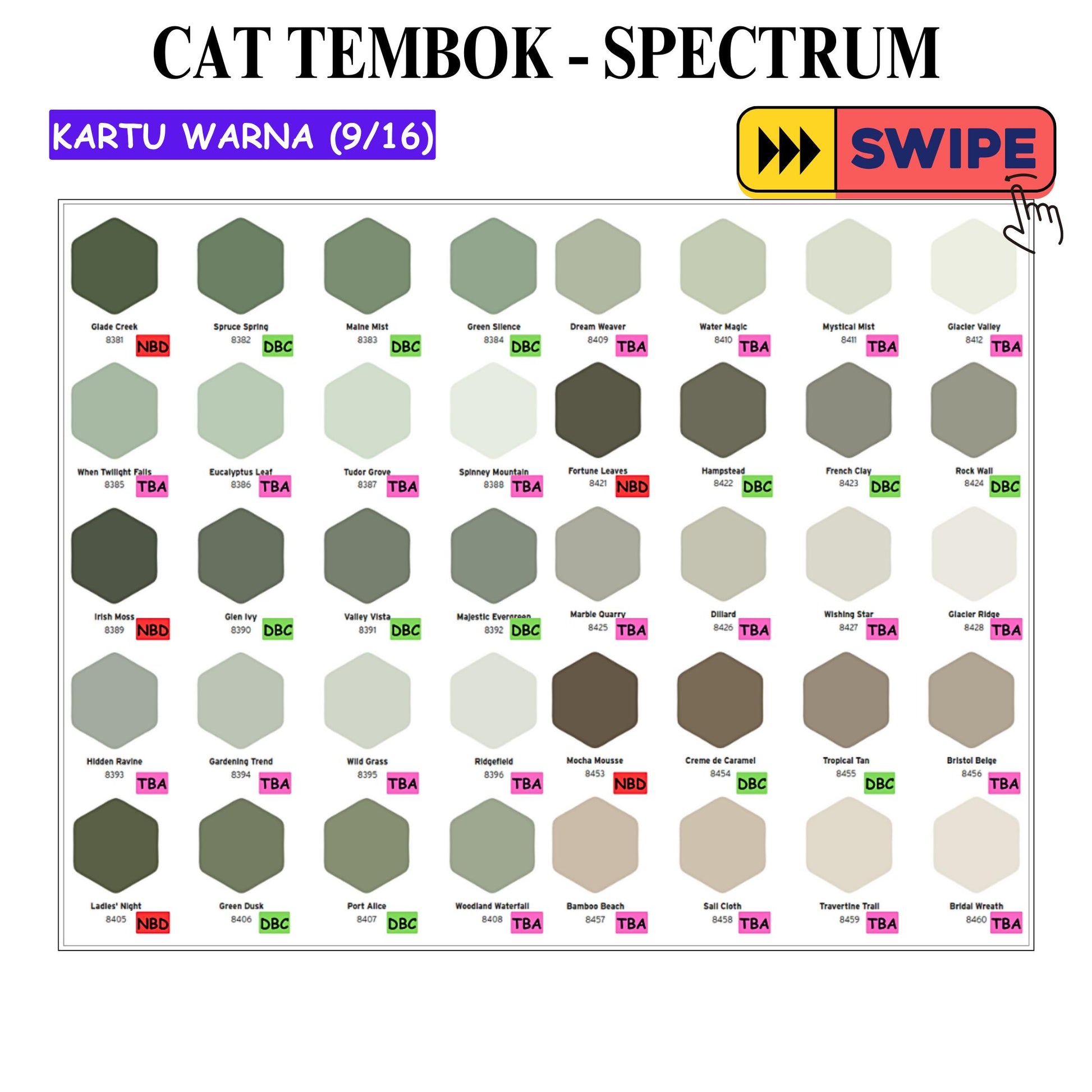 5 KG / SPECTRUM Cat Tembok Beton Plafon Wall Paint Galon