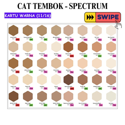 5 KG / SPECTRUM Cat Tembok Beton Plafon Wall Paint Galon