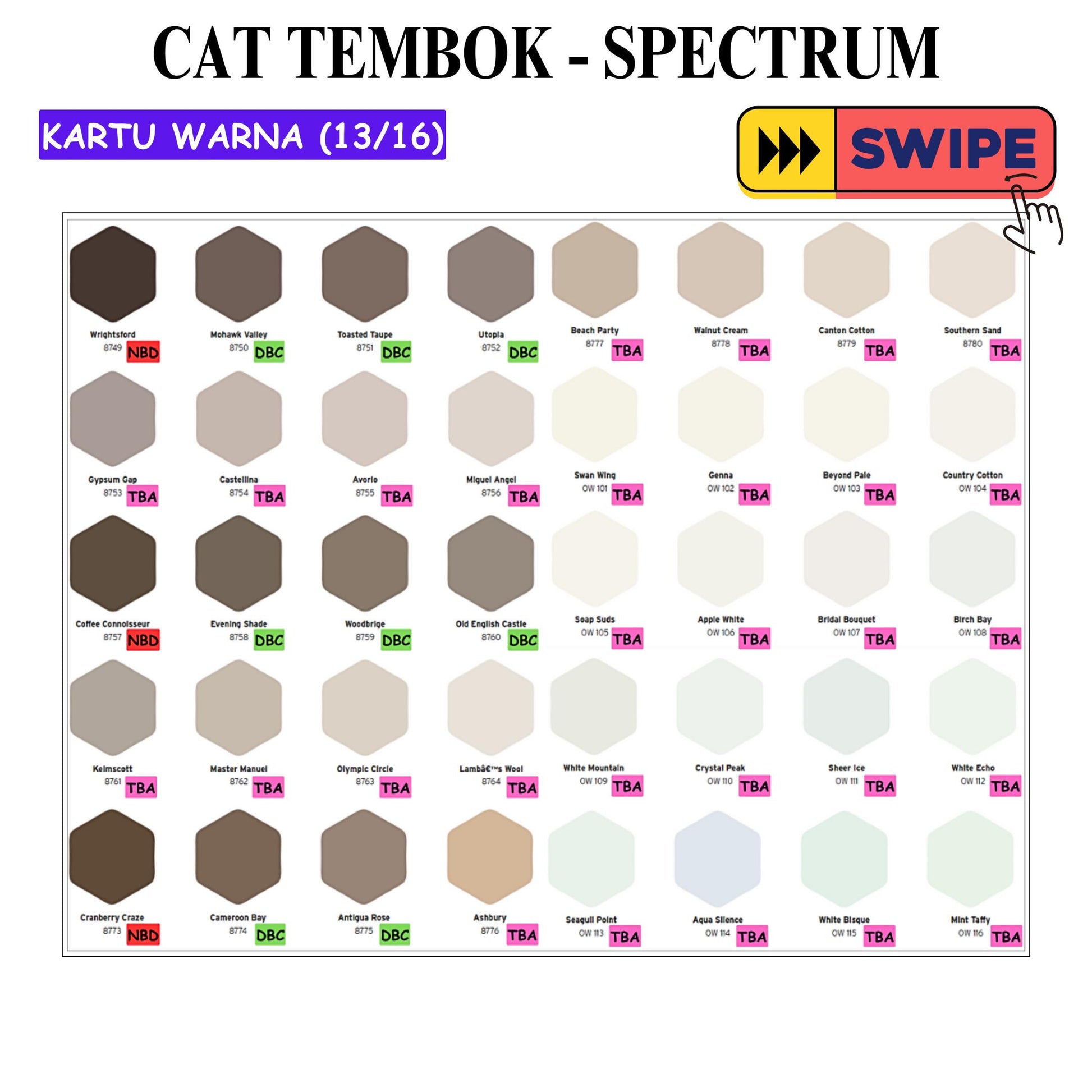 5 KG / SPECTRUM Cat Tembok Beton Plafon Wall Paint Galon
