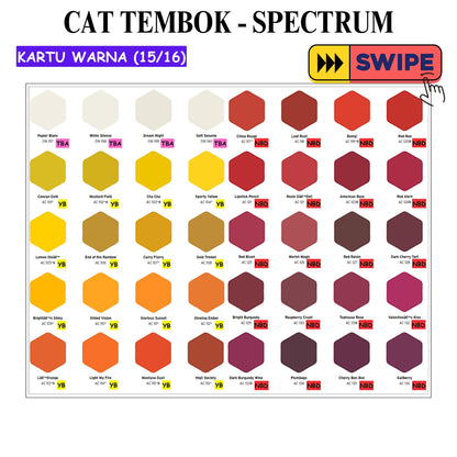 5 KG / SPECTRUM Cat Tembok Beton Plafon Wall Paint Galon