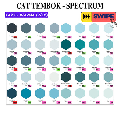 25 KG / SPECTRUM Cat Tembok Beton Plafon Wall Paint Galon