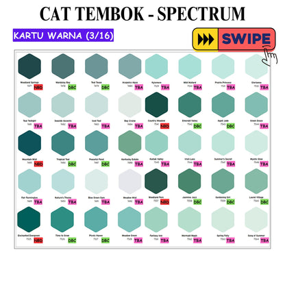 25 KG / SPECTRUM Cat Tembok Beton Plafon Wall Paint Galon