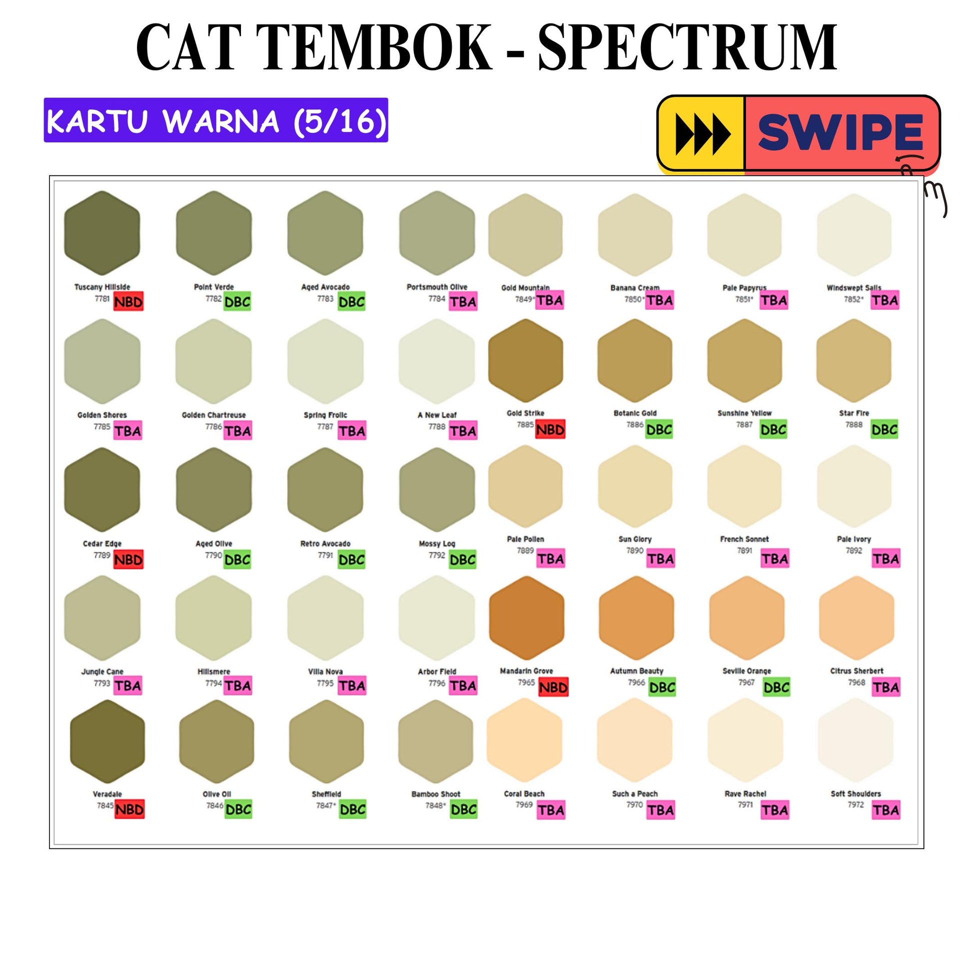 25 KG / SPECTRUM Cat Tembok Beton Plafon Wall Paint Galon