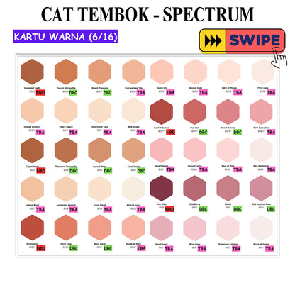 25 KG / SPECTRUM Cat Tembok Beton Plafon Wall Paint Galon
