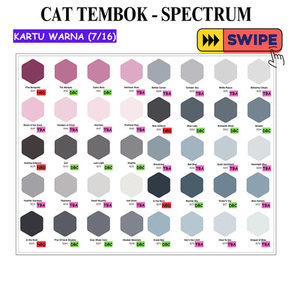 25 KG / SPECTRUM Cat Tembok Beton Plafon Wall Paint Galon