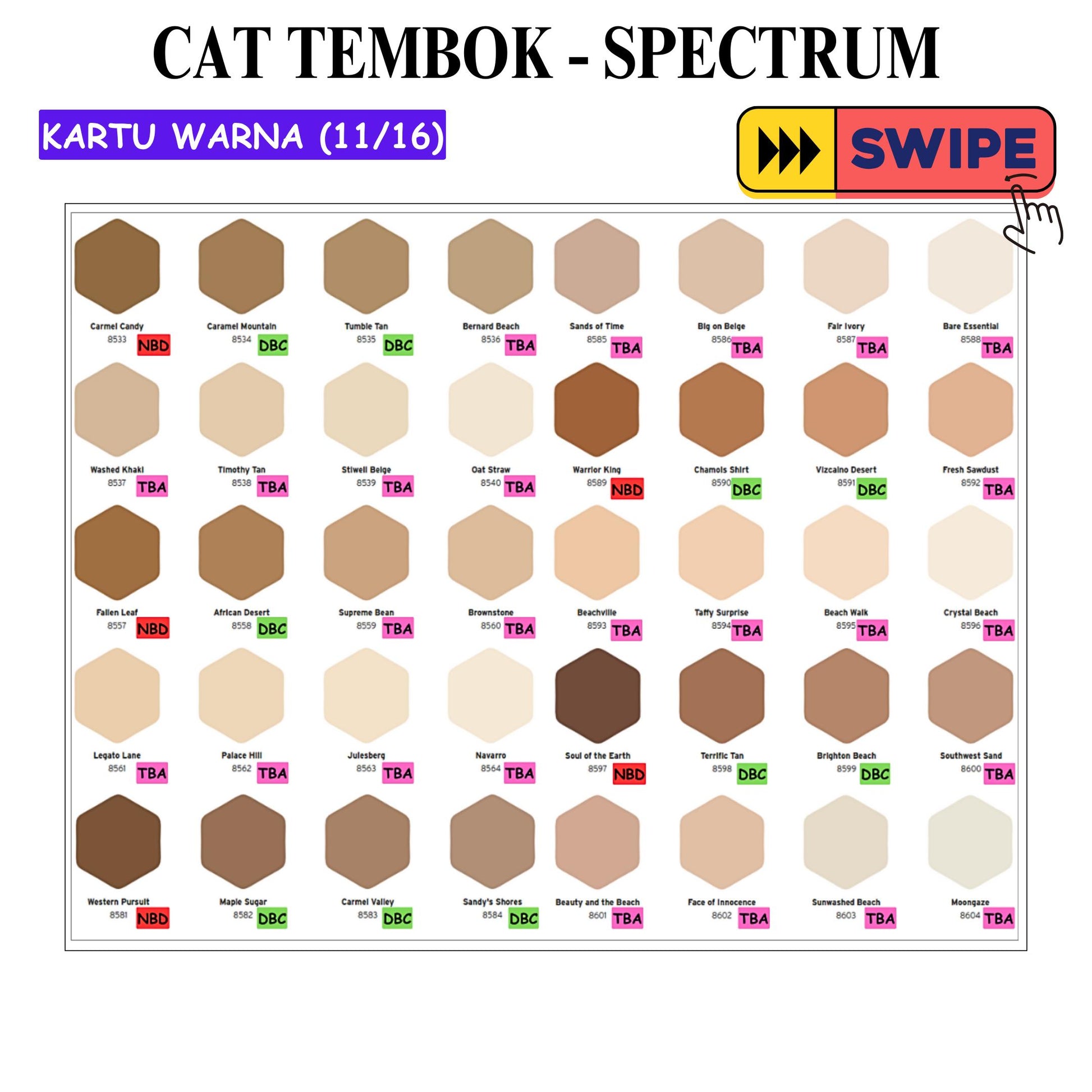 25 KG / SPECTRUM Cat Tembok Beton Plafon Wall Paint Galon