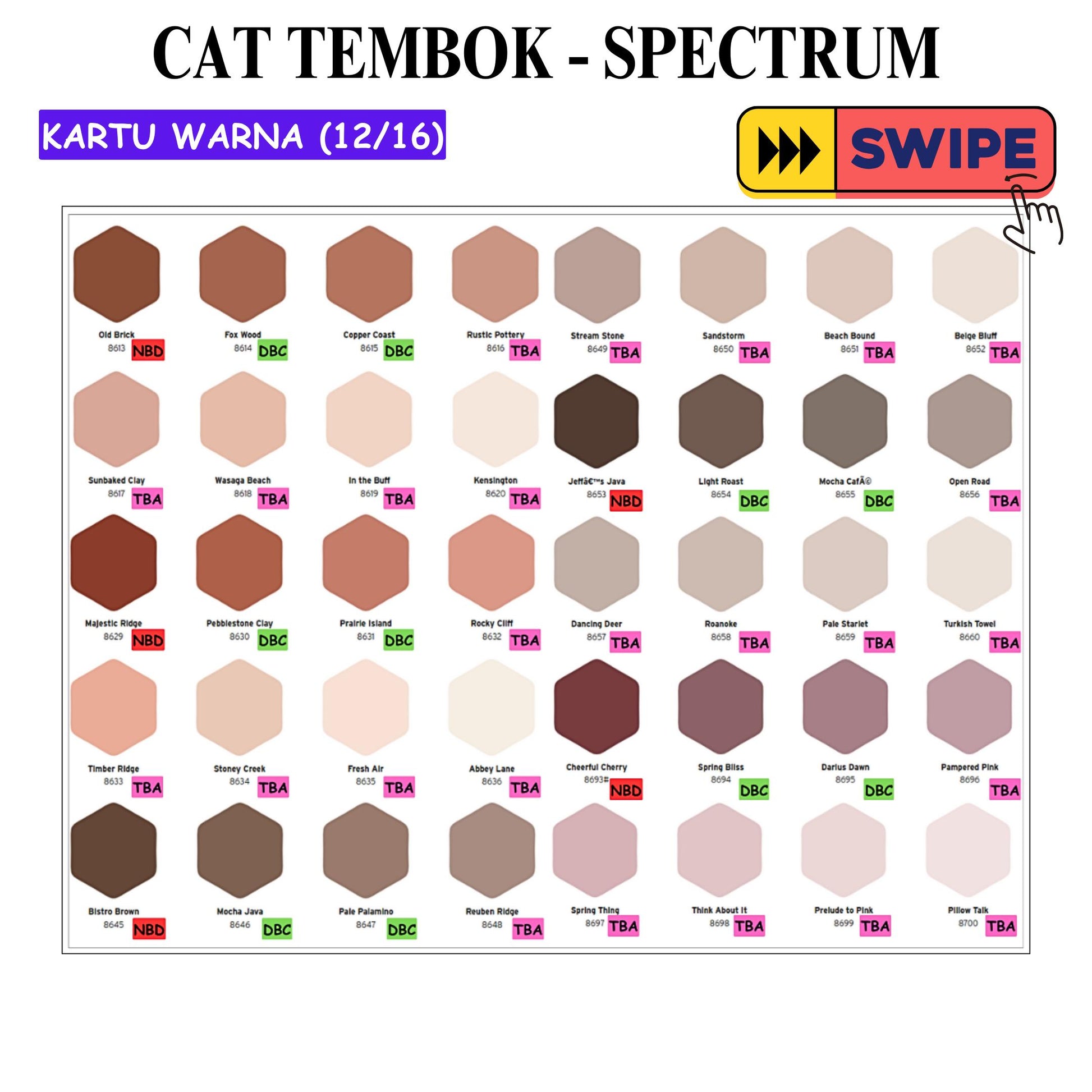 25 KG / SPECTRUM Cat Tembok Beton Plafon Wall Paint Galon