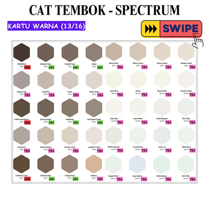 25 KG / SPECTRUM Cat Tembok Beton Plafon Wall Paint Galon
