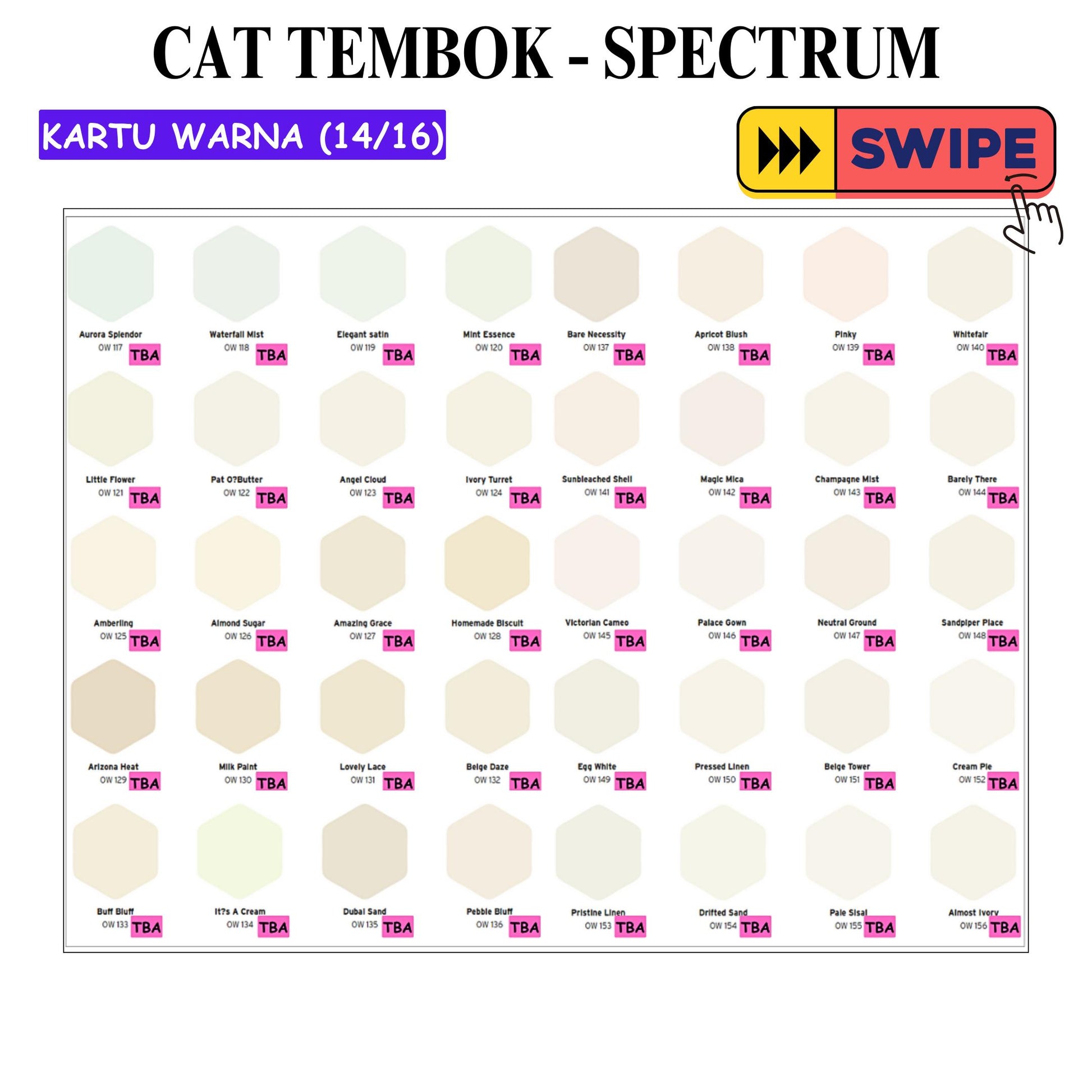 25 KG / SPECTRUM Cat Tembok Beton Plafon Wall Paint Galon