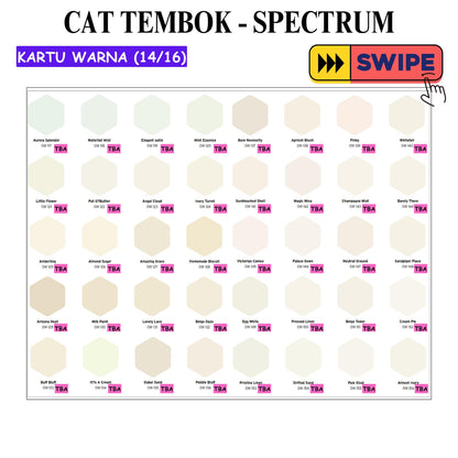 25 KG / SPECTRUM Cat Tembok Beton Plafon Wall Paint Galon