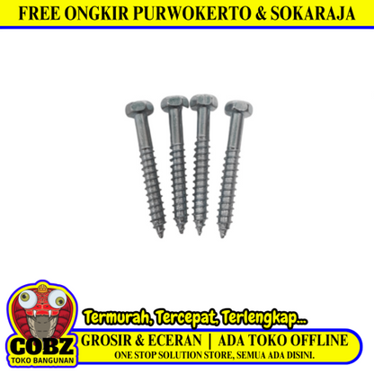 1/4 IN x 2 IN / TM Deskrup Hex Lag Desc Screw Galvanis Putih Biji