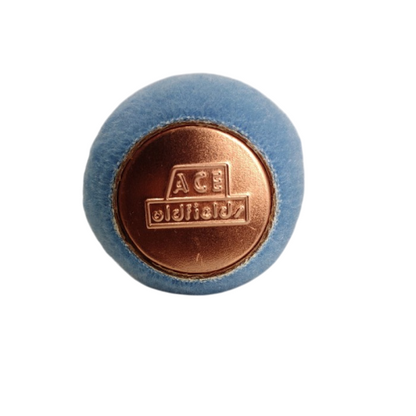 9 IN / ACE OLDFIELDS Refill Isi Kuas Busa Roll Cat Tembok Kayu Besi Besar